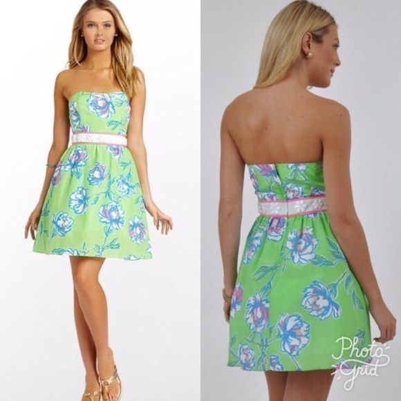 Lilly Pulitzer Langley Silk Cotton Blend Dress in New Green Tossed Size 0 NWT - Picture 1 of 13